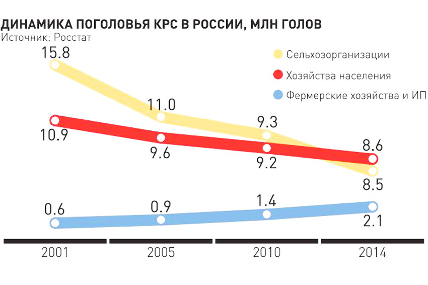 Частные хозяйства увеличивают производство говядины