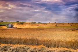 В России повышена экспортная пошлина на пшеницу