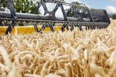 Минсельхоз в этом сезоне ожидает экспорт зерна из РФ на уровне 35 млн тонн