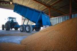 Минсельхоз Казахстана признал нелегальный экспорт зерна из России