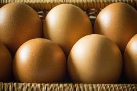 Россельхознадзор запретил вывозить на Украину 324 тыс. яиц из России