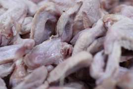 Россельхознадзор ведет переговоры о поставках мяса птицы в Бразилию 