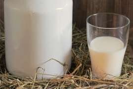 Производители заявили, что выпуск сырого молока в РФ в 2022 году вырастет на 2,5-3%