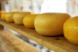Мелкие российские производители сыра уходят с рынка