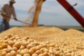 Приамурье рассчитывает на высокие показатели урожая, несмотря на санкции - губернатор