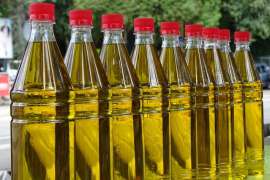 В Курганской области открыли завод по производству растительного масла