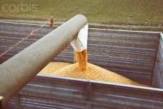 Минэкономразвития не считает приоритетом приватизацию Объединенной зерновой компании