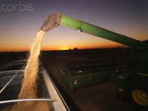 В России собрано более 101 млн тонн зерна - Минсельхоз