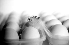 Астраханская птицефабрика планирует увеличить годовое производство яиц на 9%