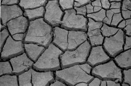 Курганские власти направили документы в Минсельхоз РФ для оценки ущерба из-за засухи