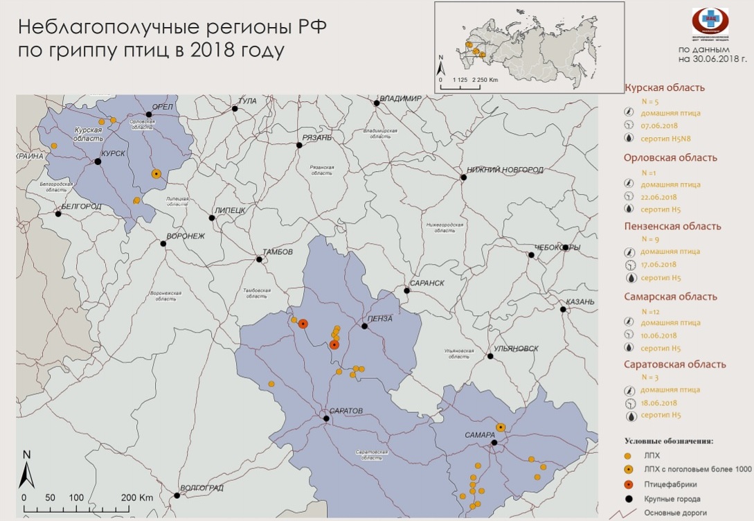 Птичий грипп карта в россии