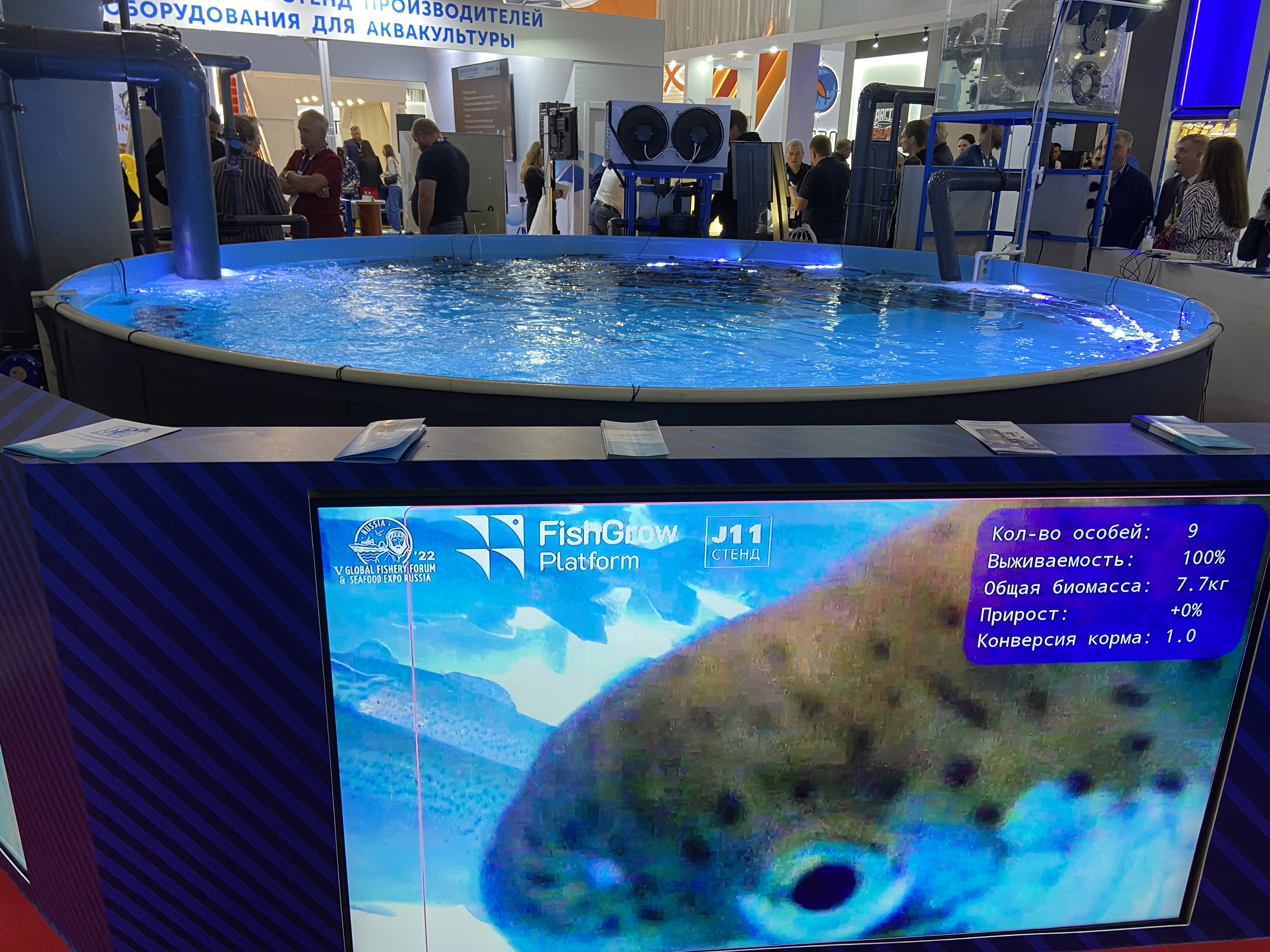 Seafood expo. Выставка рыб. Рыбная выставка в Санкт-Петербурге 2022. Seafood Expo Russia. Посетить выставку рыбной индустрии.