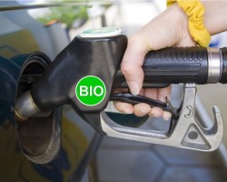� 2020 �. � ��������� ������� ��� ����� 40% ����������