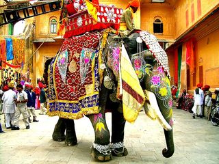 ����� �������� ������ ������������ ����� � 2010/11 �� - �������