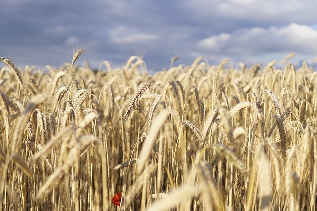 ��������� ������� ������� � 2026� ��������� ������� ��� ������� �� 19%