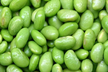 � ����� ������� 14 ���. ���� ���  
