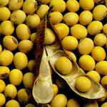 �� ������ ������������ ���������, ��� ����� ��������
