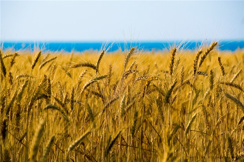 USDA � �������� ������ ������� �������� ������������ ������� �� 658,73 ��� ���� 