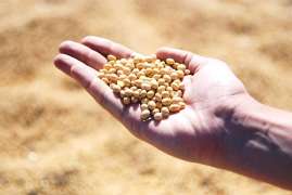 ���������� ������� ������� ����� 500 ����� ���� ���