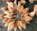 ��������� ������� ������������� ������