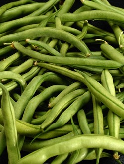 � 2010/11 ���� ������ ��� � ���� ���������� �� 5%