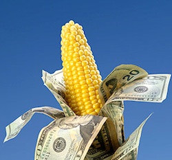 Syngenta �������� ������� �������� ��������� �� ��������