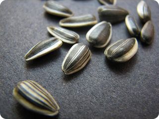 � ������ ���������� ��������� ���� ���������� �� 25%