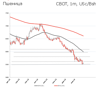 Wheat17314.jpg