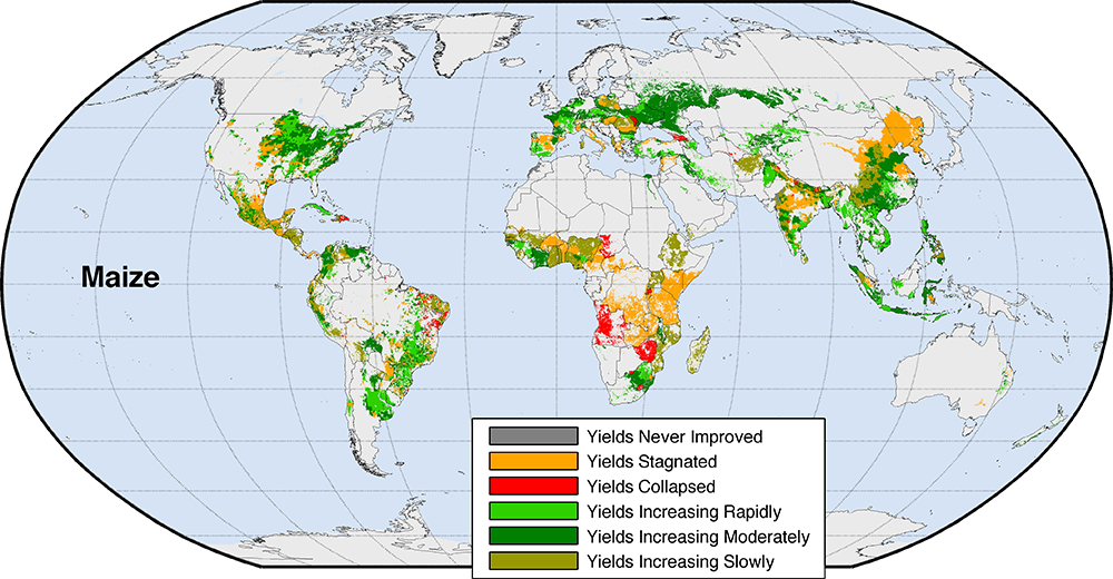 PressRelease_Maize_HighRes1.jpg