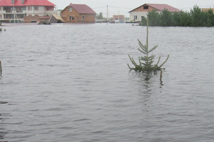 1376977016_0698.720x480.jpeg