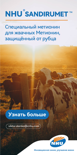 SoyaNews advertisement placeholder